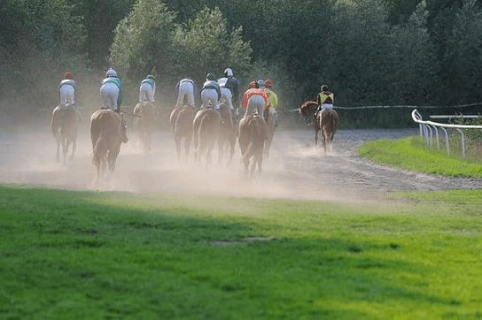 Iniciando no Universo das Corridas de Cavalos