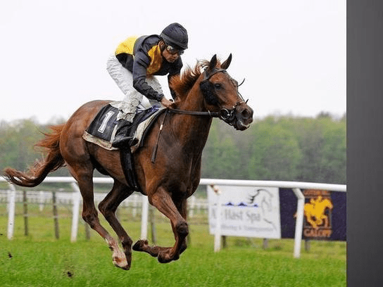 Explorando os Altos e Baixos do Universo das Corridas de Cavalos