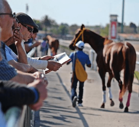 A Evolução das Corridas de Cavalos no Panorama Nacional