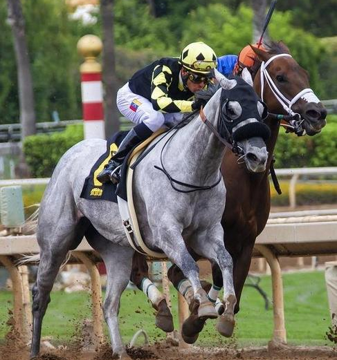 Principais Eventos Nacionais de Corridas de Cavalos: Um Panorama Completo